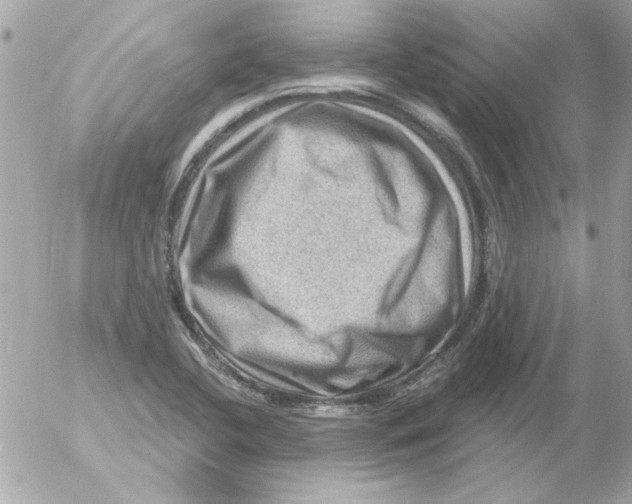 X0000054401412200508262219