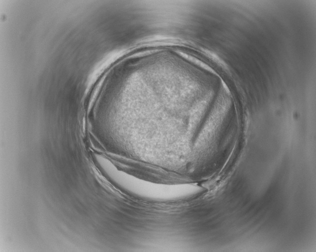 X0000054401413200508262219