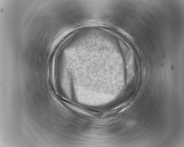 X0000054401415200508262219