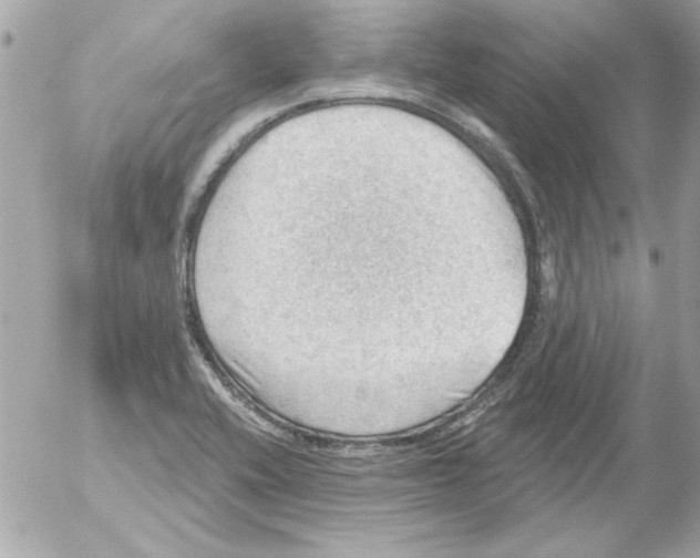 X0000054401416200508262219