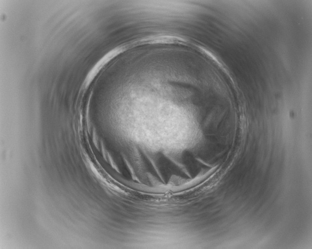 X0000054401418200508262219