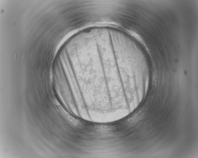 X0000054401420200508262219