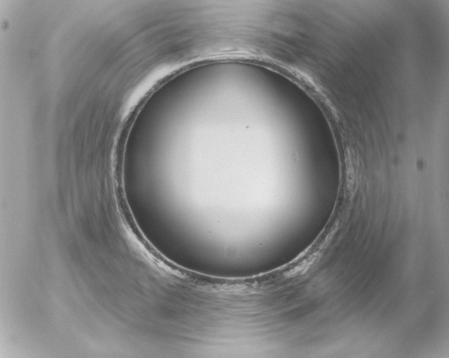 X0000054401422200508262219