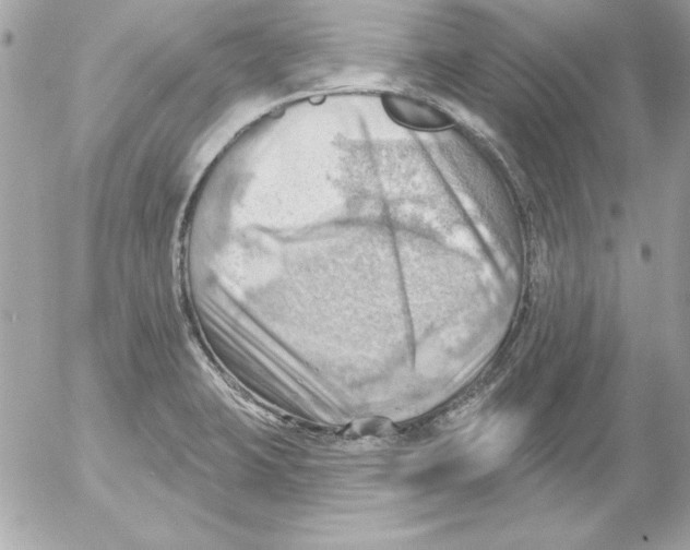 X0000054401423200508262219