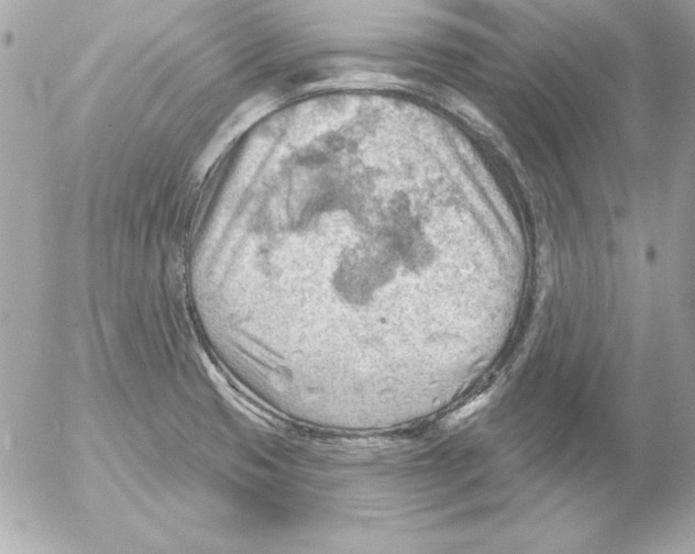 X0000054401425200508262219