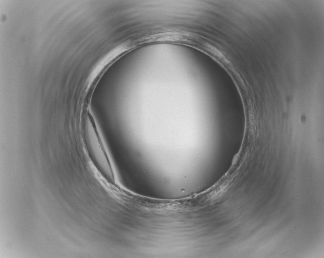 X0000054401426200508262219