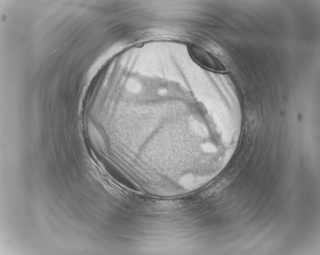 X0000054401427200508262219