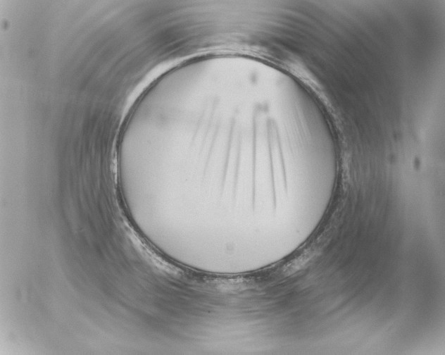 X0000054401428200508262220