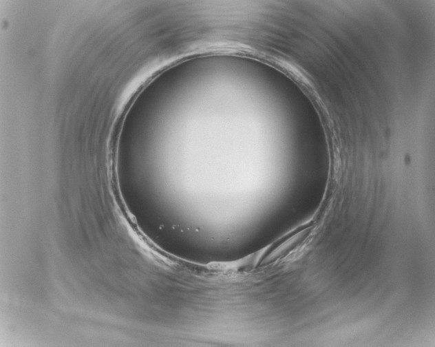 X0000054401430200508262220