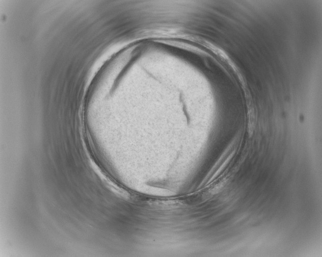 X0000054401432200508262220