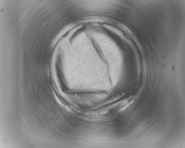 X0000054401433200508262220