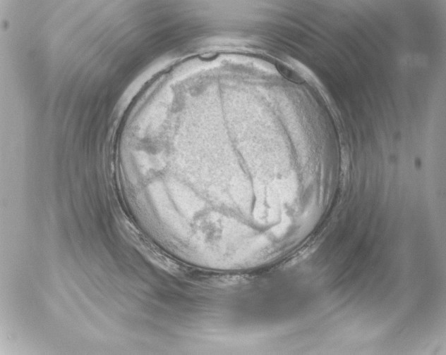 X0000054401435200508262220