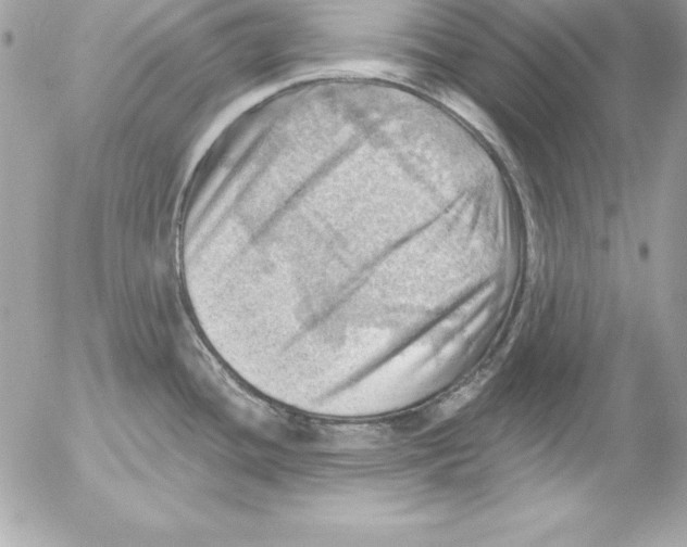 X0000054401436200508262220