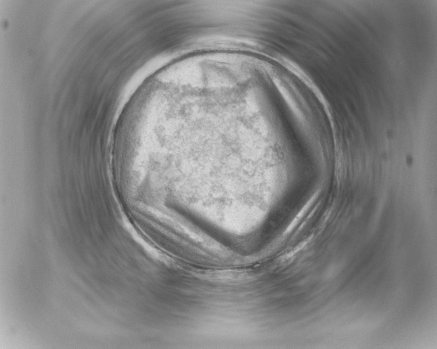 X0000054401437200508262220