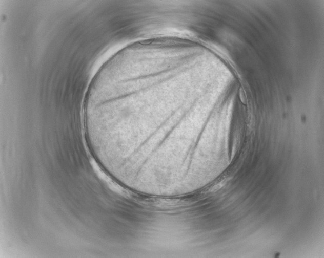 X0000054401439200508262220