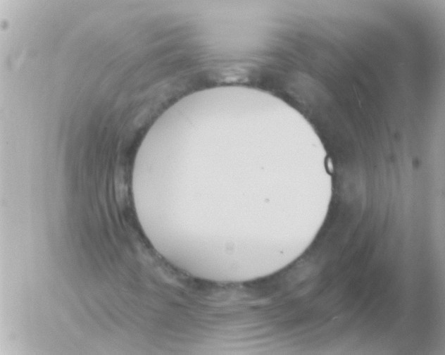 X0000054401442200508262219