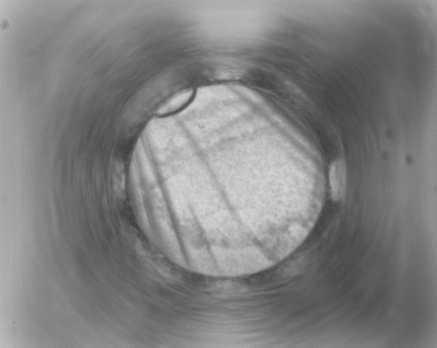 X0000054401443200508262219