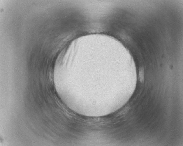 X0000054401444200508262219