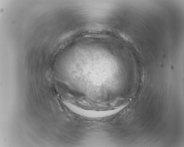 X0000054401445200508262219