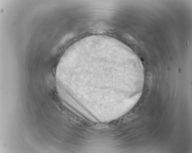 X0000054401446200508262219