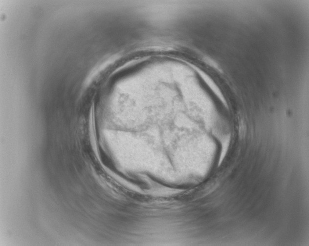 X0000054401448200508262219