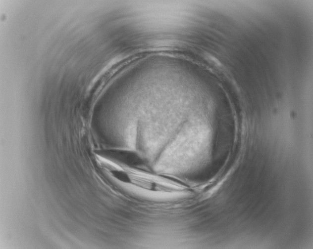 X0000054401449200508262219