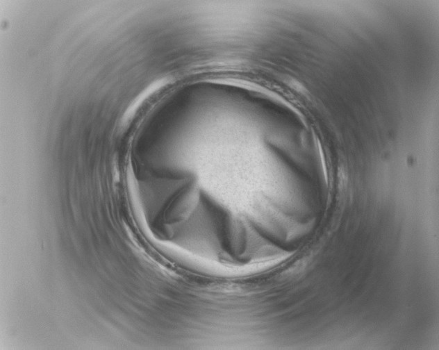 X0000054401450200508262219