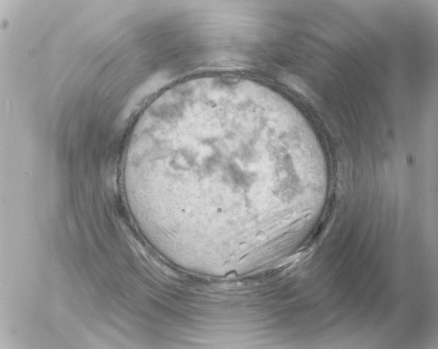 X0000054401451200508262219