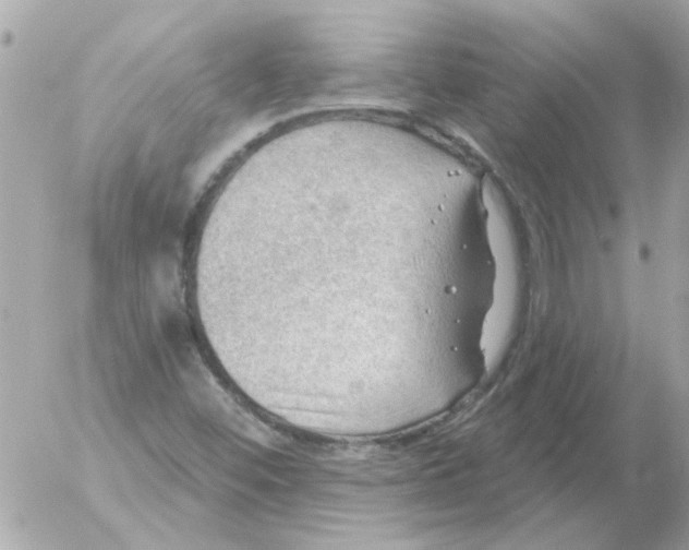 X0000054401452200508262219