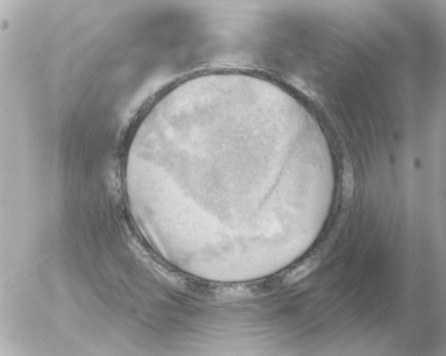 X0000054401454200508262219