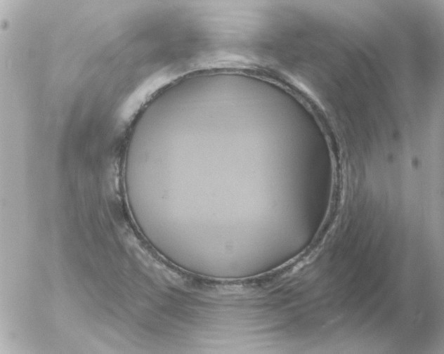 X0000054401455200508262219