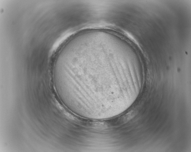 X0000054401456200508262219