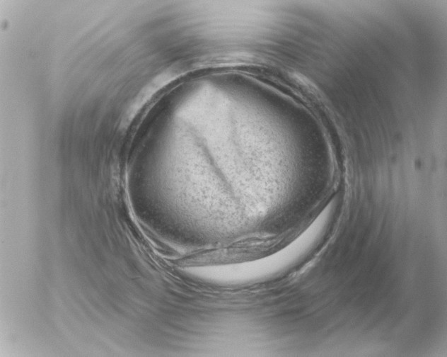 X0000054401457200508262219