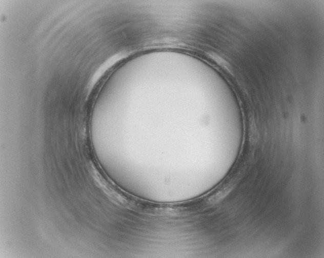 X0000054401458200508262219