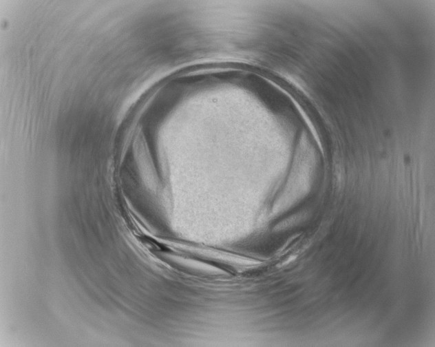 X0000054401460200508262219