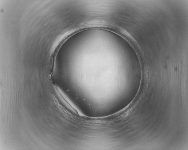 X0000054401461200508262219