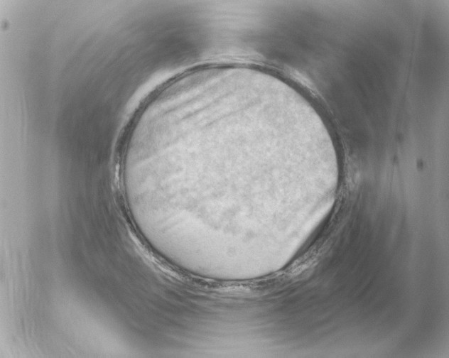 X0000054401462200508262219