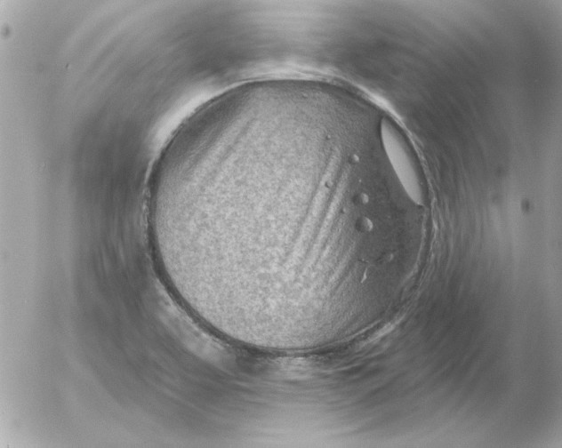 X0000054401463200508262219