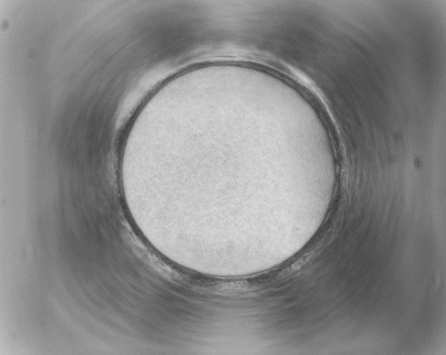 X0000054401464200508262219