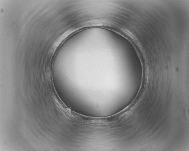 X0000054401465200508262219