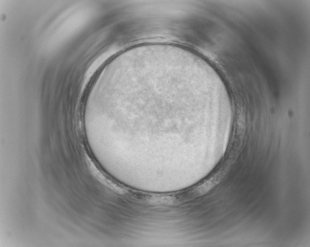 X0000054401466200508262219