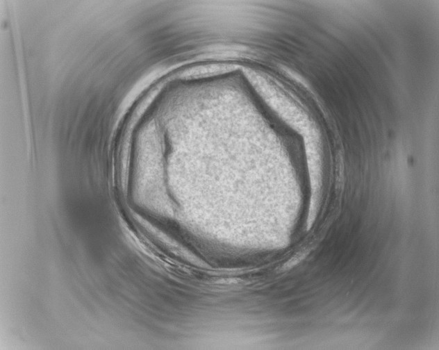 X0000054401467200508262218