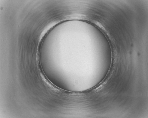 X0000054401469200508262218