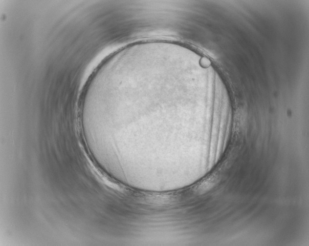 X0000054401470200508262218