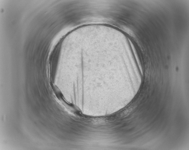 X0000054401472200508262218