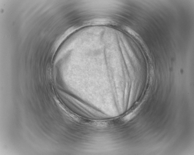 X0000054401473200508262218