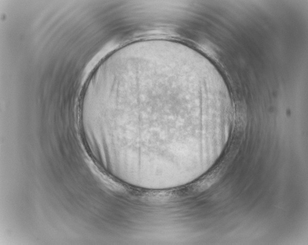 X0000054401474200508262218