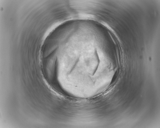 X0000054401477200508262218