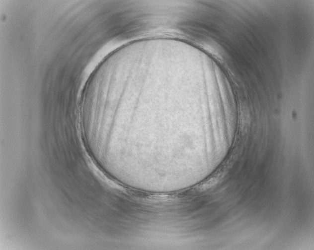 X0000054401478200508262218