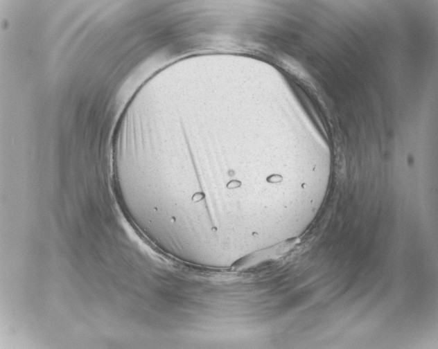 X0000054401479200508262218